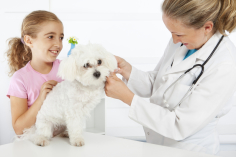 Vet with a young girl and a small dog